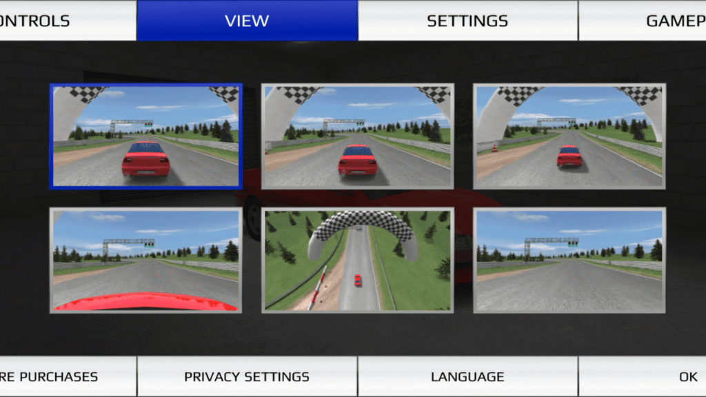 Rally Fury MOD APK camera view options on PC